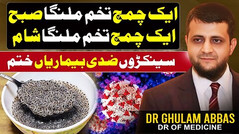 تخم ملنگا کا ایک چمچ صبح ایک چمچ شام ضدی سے ضدی بیماریوں کا خاتمہ