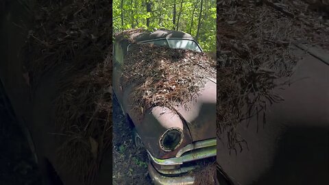 Old abandoned car in the woods, West Monroe Louisiana