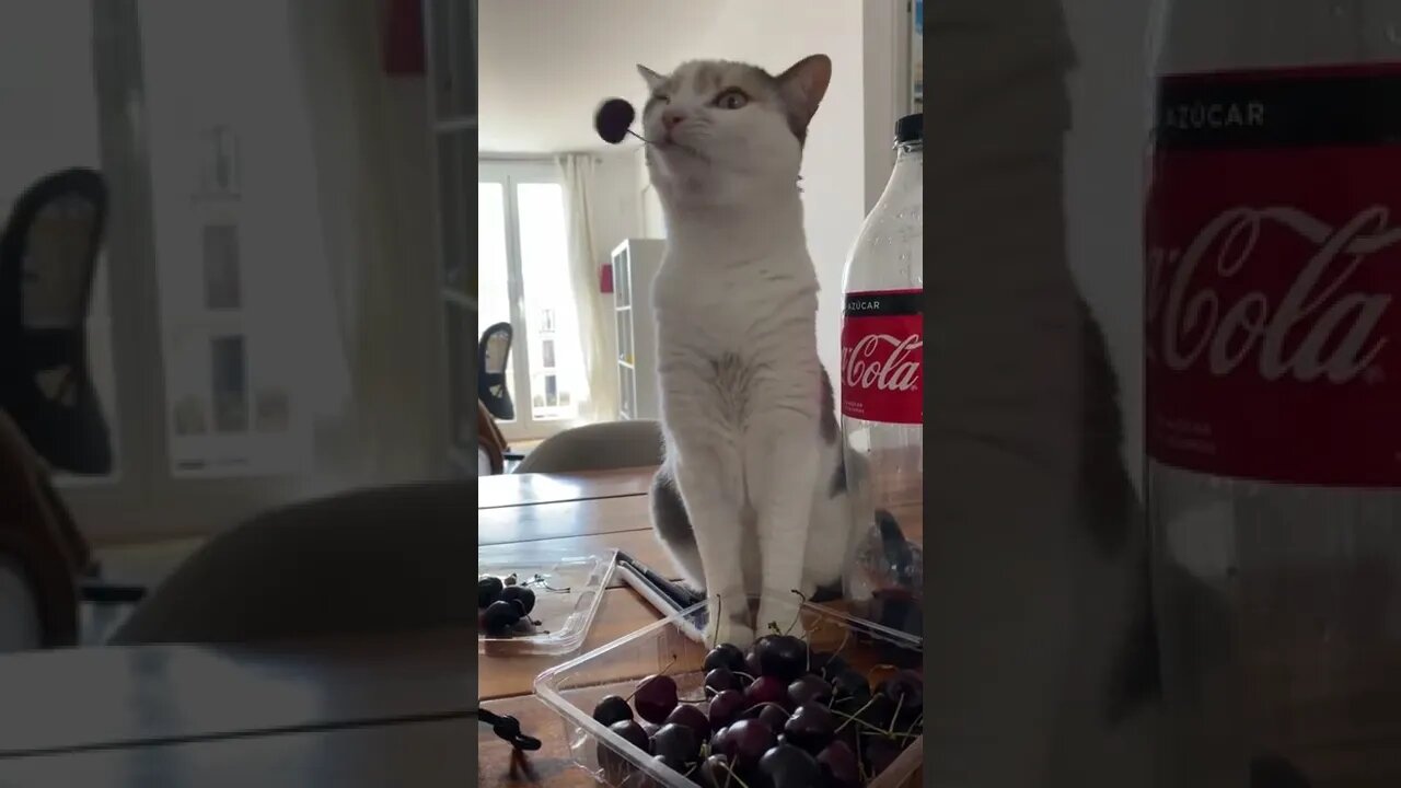 She loves to PLAY with not eat cherries