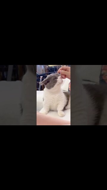 Touch Healing Service for FREE , for real , #short