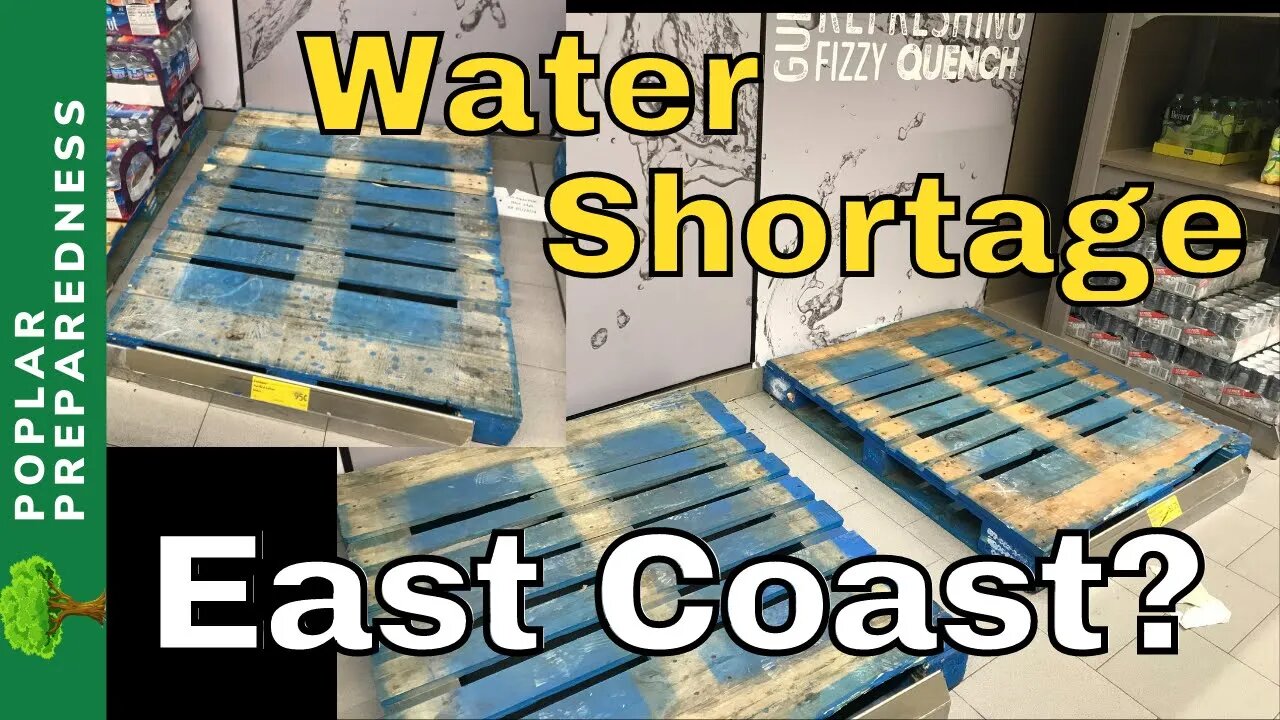 Food Shortages UPDATE / Empty Shelves Grocery Stores (February 2022)