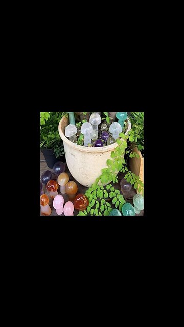 LOOK AT THIS MUSHROOM CRYSTAL KIT! IT WILL BE MAGICAL IN YOUR PLANT OR GARDEN OUTSIDE
