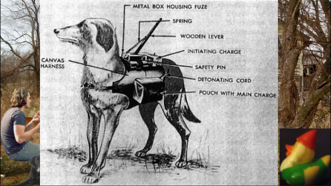 Dogs: The first robots