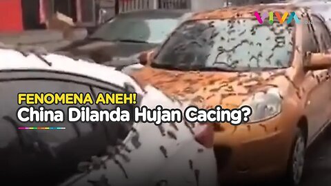 HEBOH! Bukan Hujan Cacing, Fenomena Aneh di China Ini Ternyata...