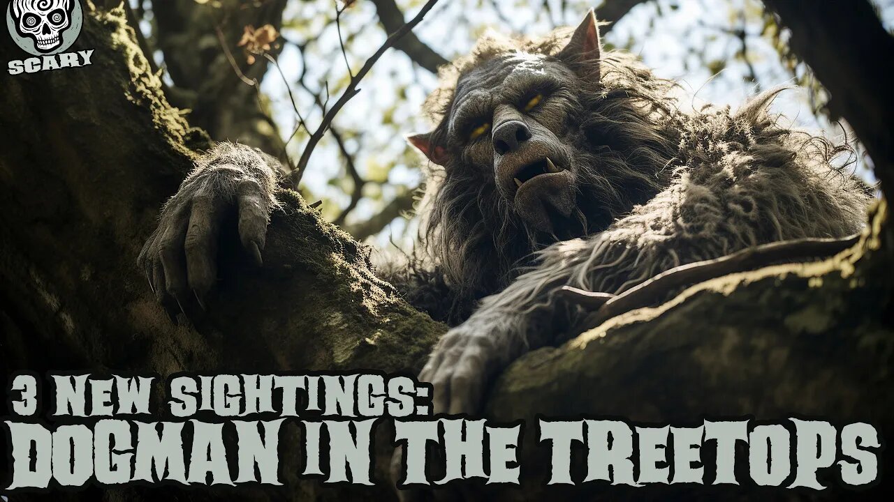 Tree-Dwelling Dogman? Werewolf in the Trees (All-New)