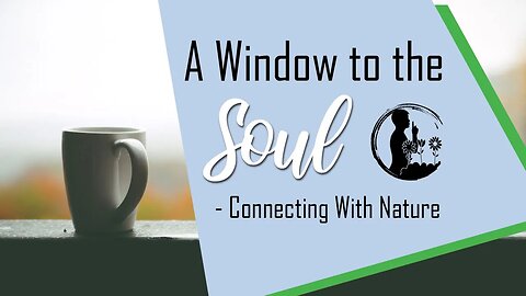 A Window to the Soul - David Drapela | A Connection With Nature