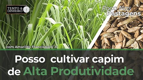 Foco nas Pastagens e o cultivo em solos arenosos