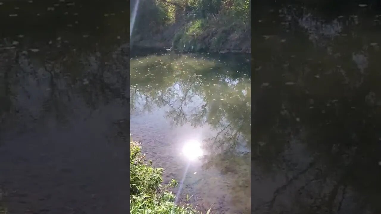calming river