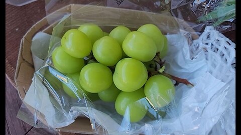 Gucci Imported Korea Shine Muscat Green Grapes