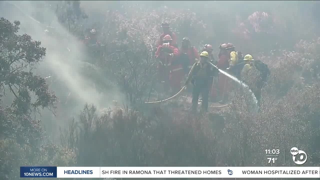Retired fire battalion chief reacts to Bunnie Fire