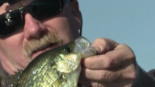 BIG Panfish from the Kayak