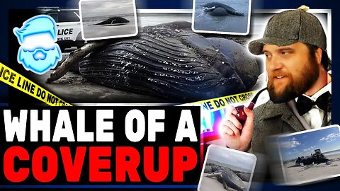 Dozens Of Whales Are Washing Up On Shore & It's Cause Is Infuriating!