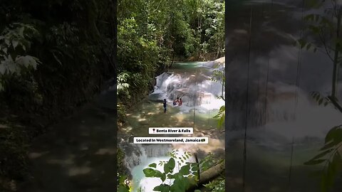 Westmoreland Hidden Gem Benta River Falls #shortsvideo #shortsfeed #jamaica #nature #travel #shorts