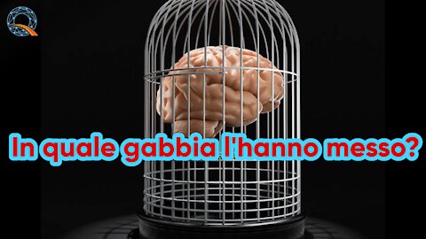 👉 🧠 In quale Gabbia ti è stato messo?