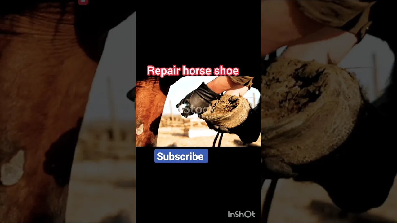 Repair horse shoe 😨🥶 | ua58sb #shorts @bbcearth #horseshoe #hoof