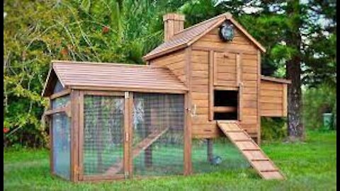 Chicken Coop technic