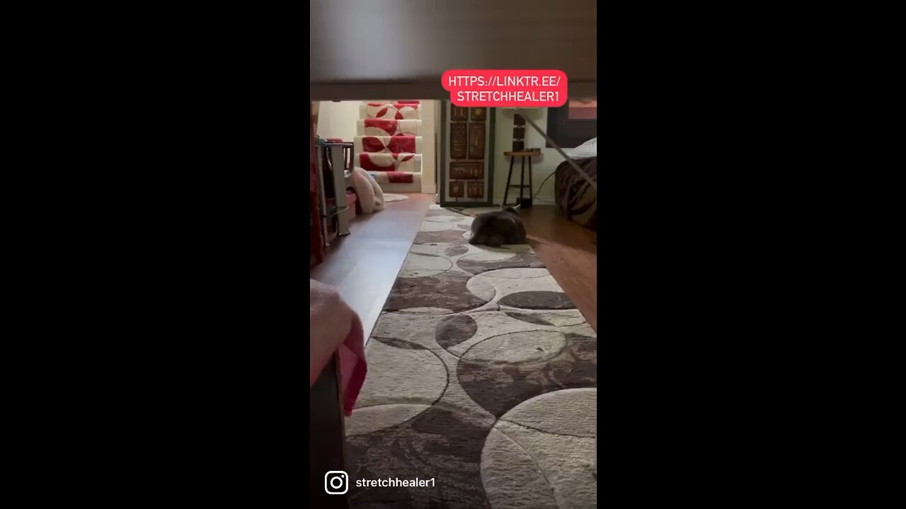 Communication Starts At Home 🏡❤️🐈🙏