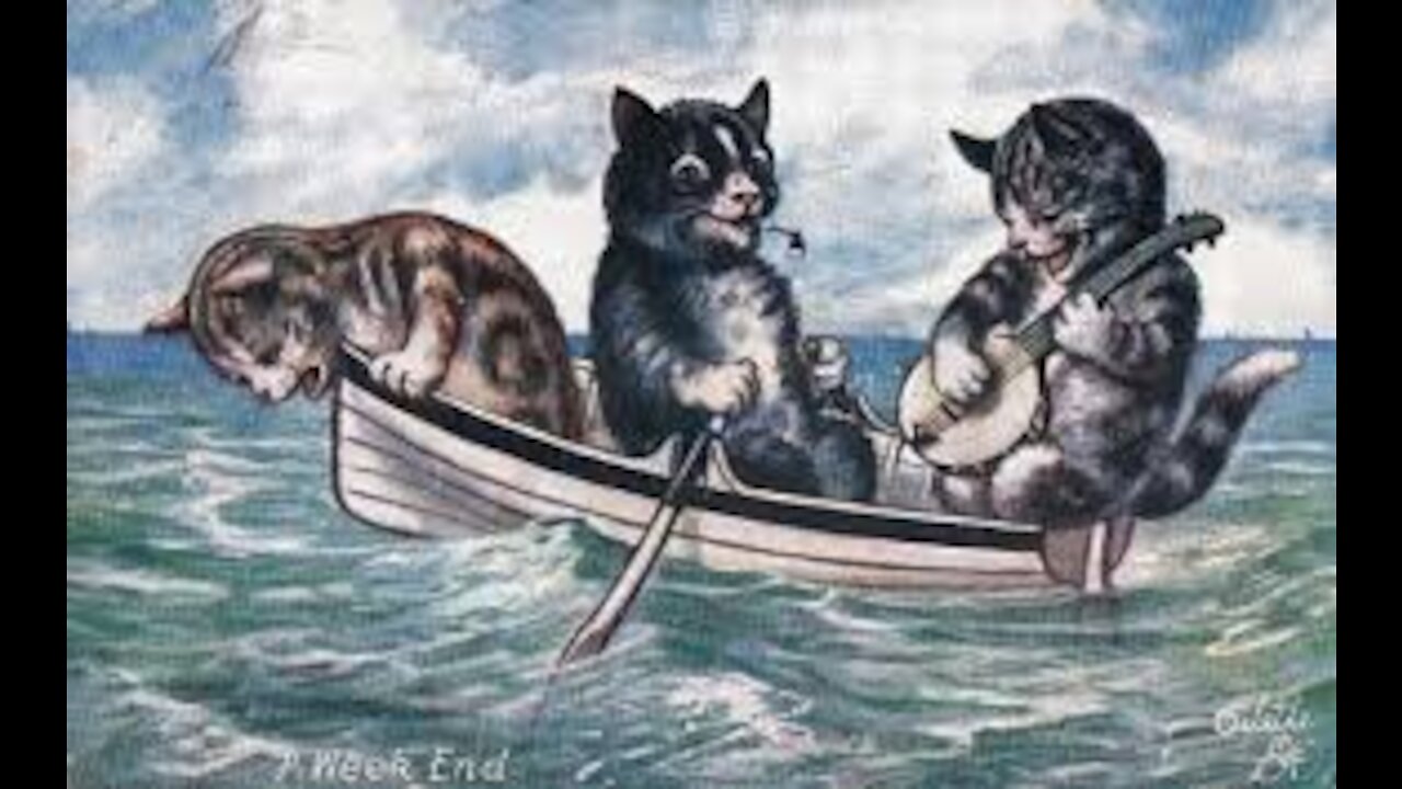funny animal videos #2021