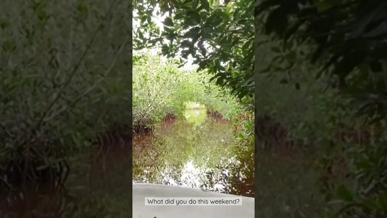 We played in the mangrove forest! Join us for this experience on our next Women’s Reconnect Retreat.