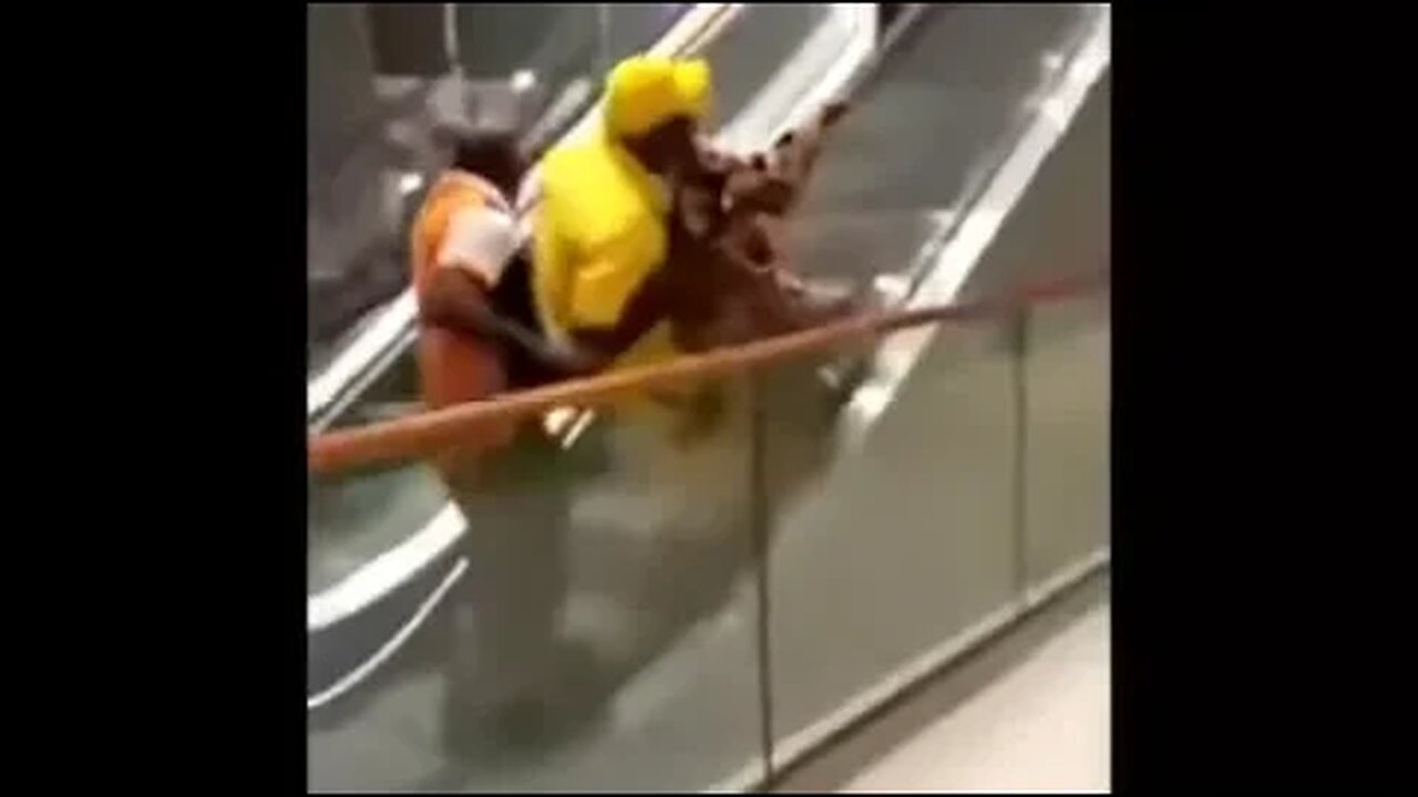 First time seeing an escalator