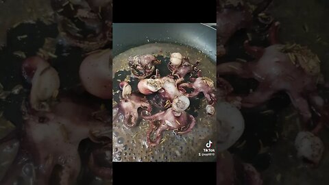 amanta lu tactu si familia #jmek #caras #splashipula #caracatita #squid #haleu #mancare #cuc #chef