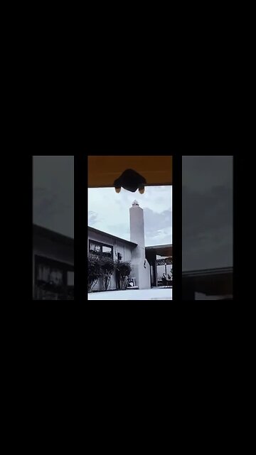 Funny and Cute Cat | Is your cat like this to0