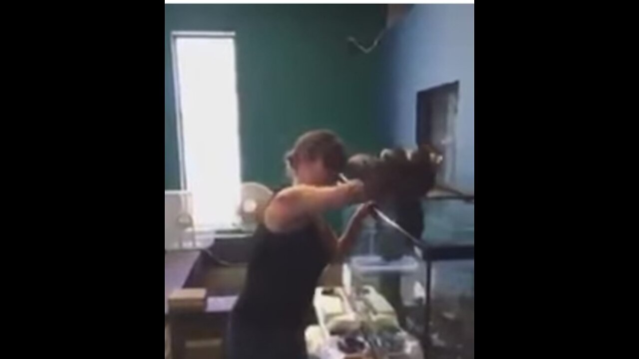 What could go wrong keeping a cold blooded critter as a pet