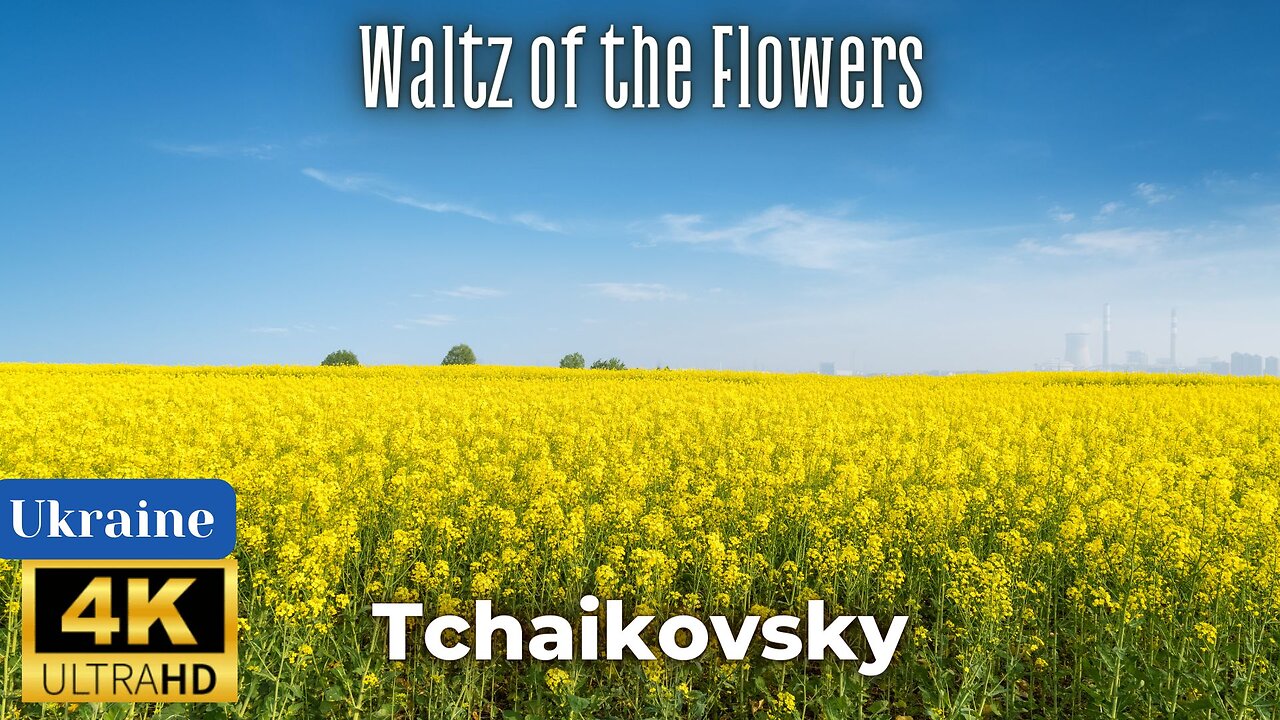 Tchaikovsky - Waltz of the Flowers (4K)