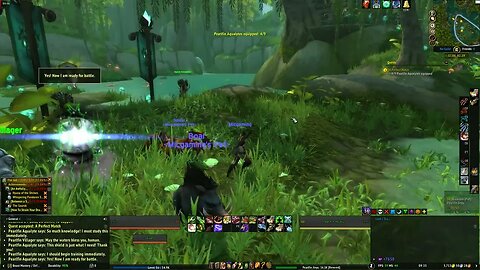 World of Warcraft Mists of Pandaria A Perfect Match