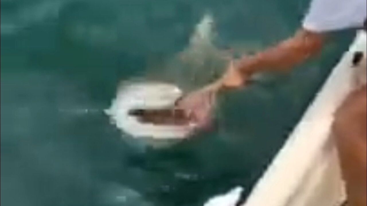 a woman loves to eat a shark