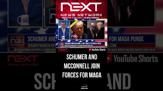 Schumer and McConnell Join Forces for MAGA Purge #shorts