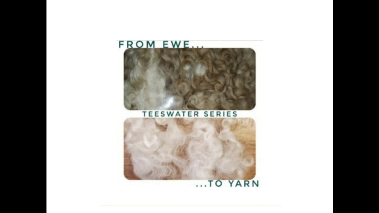 Ewe to Yarn - Teeswater series part 3