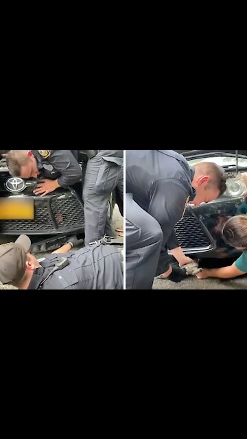 Police Officers Rescue Kitten Trapped In Car Engine