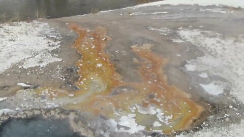 Chinese Spring in Yellowstone