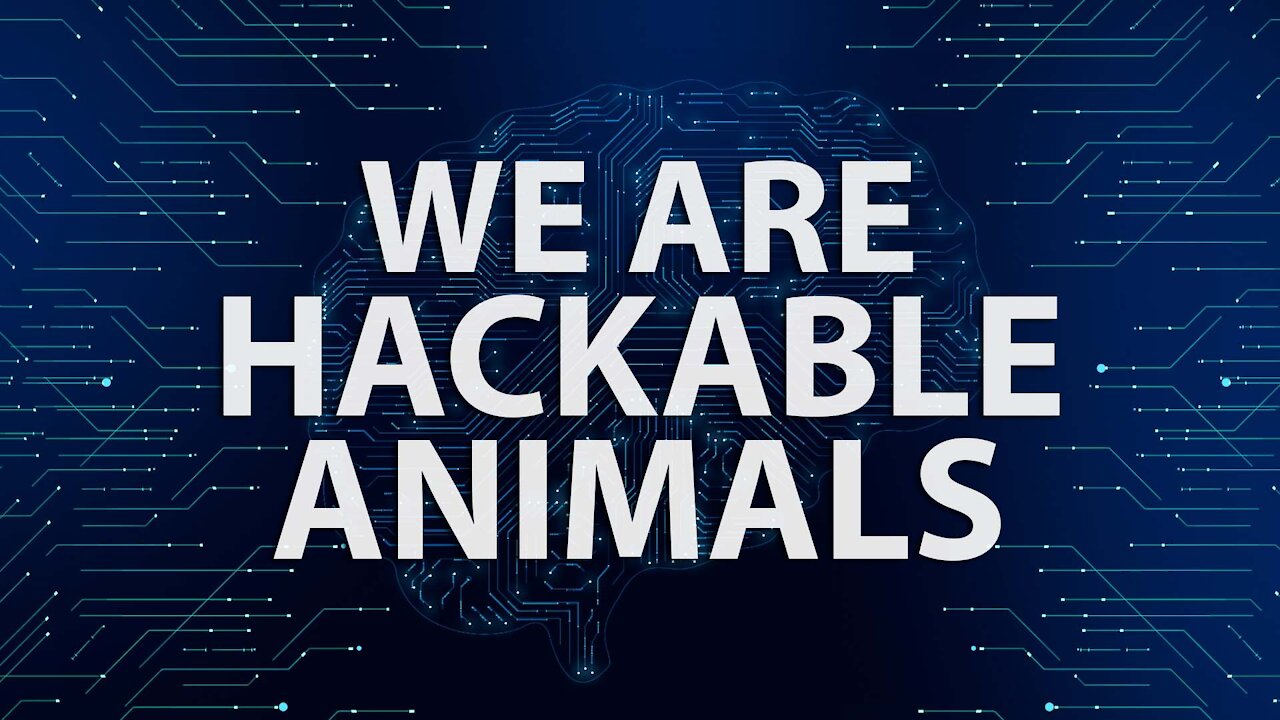 WE ARE HACKABLE ANIMALS