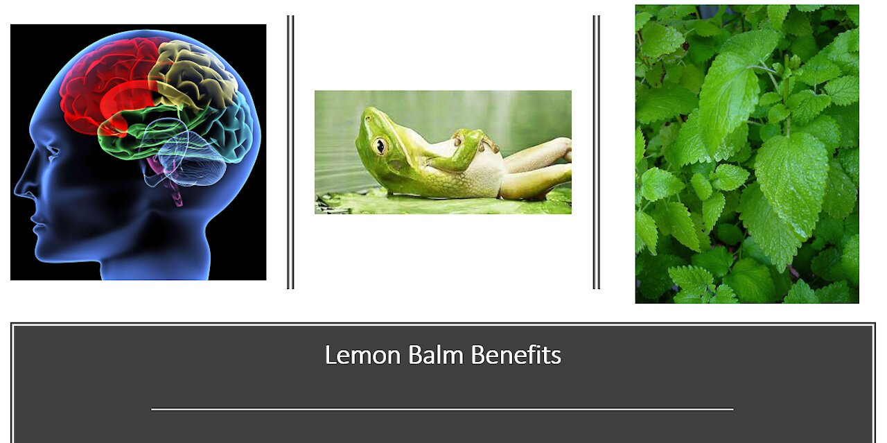 Lemon Balm Part 2 Brain Benefits