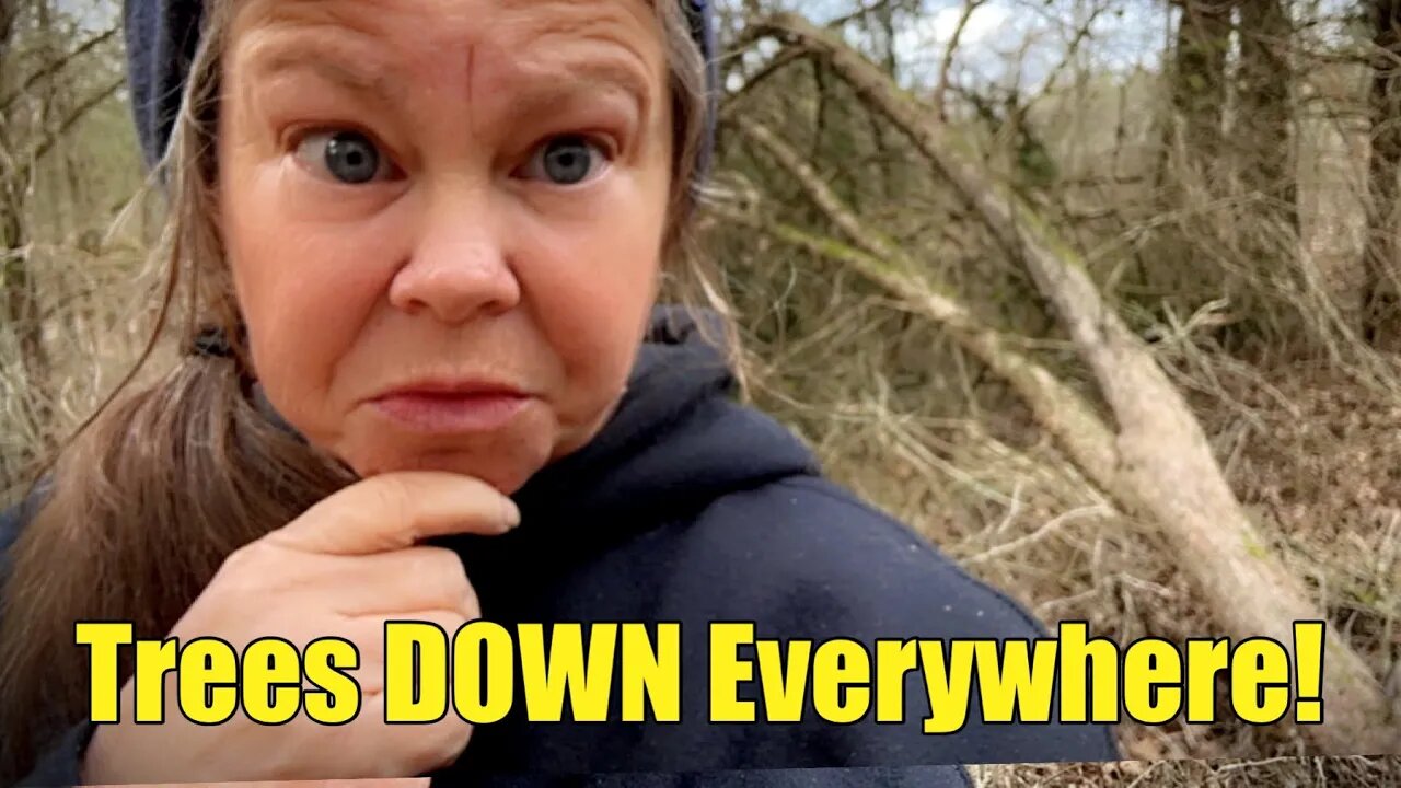 IT WAS DESTROYED | Ice Storm Wrecks Havoc | Woman Builds Tiny Cabin in the Woods