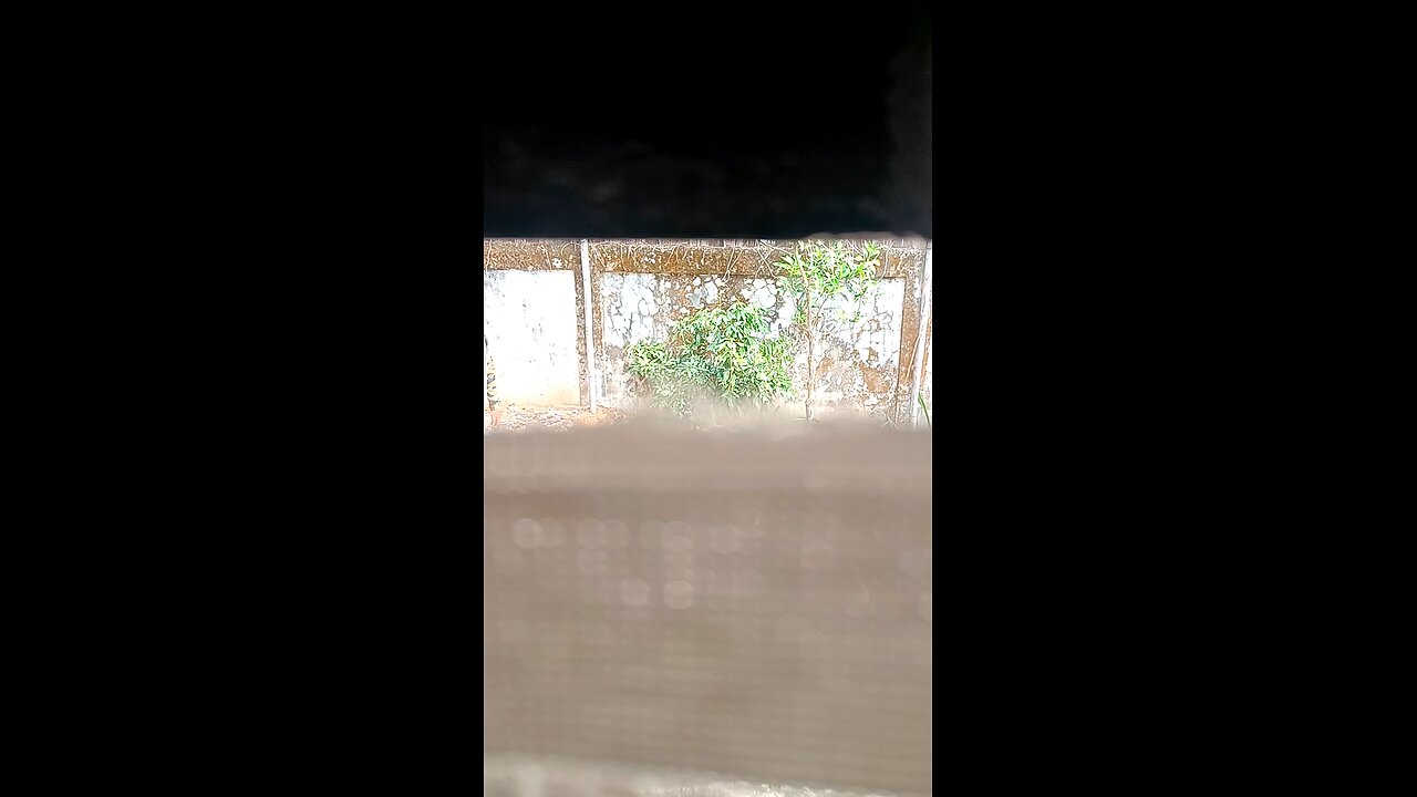 playing with police uncle