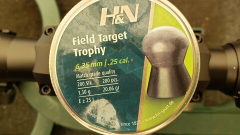 Part 5 - substitute 25 cal H&N 20.06 gr Field Target Trophy in a Hatsan Flashpup