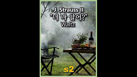 J. Strauss II - Do You Know? Waltz #2