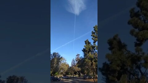 Humanity, BUG sprayed..