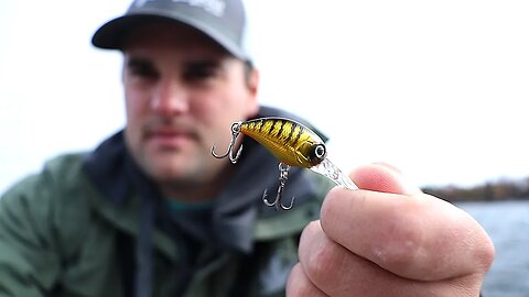 Trolling Micro Crankbaits for Crappie in the Fall (ep.12 of 30 Day Challenge)