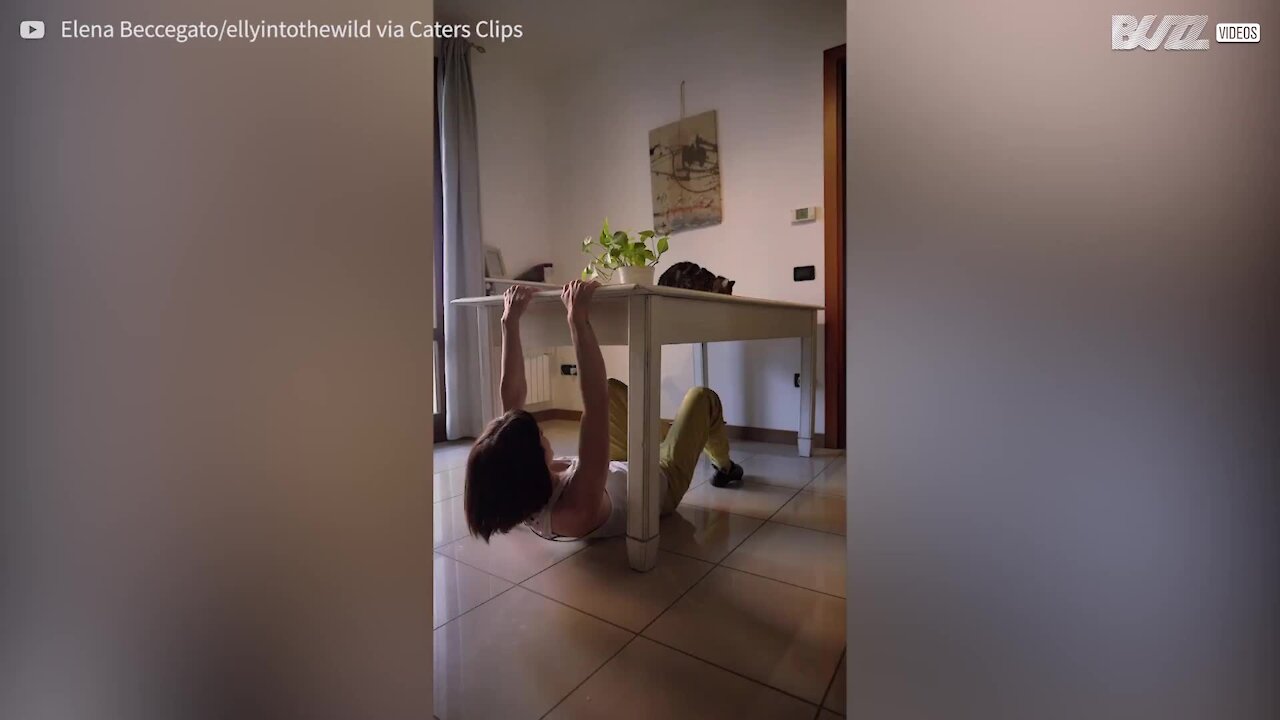 Escaladora em quarentena trepa móveis em casa!