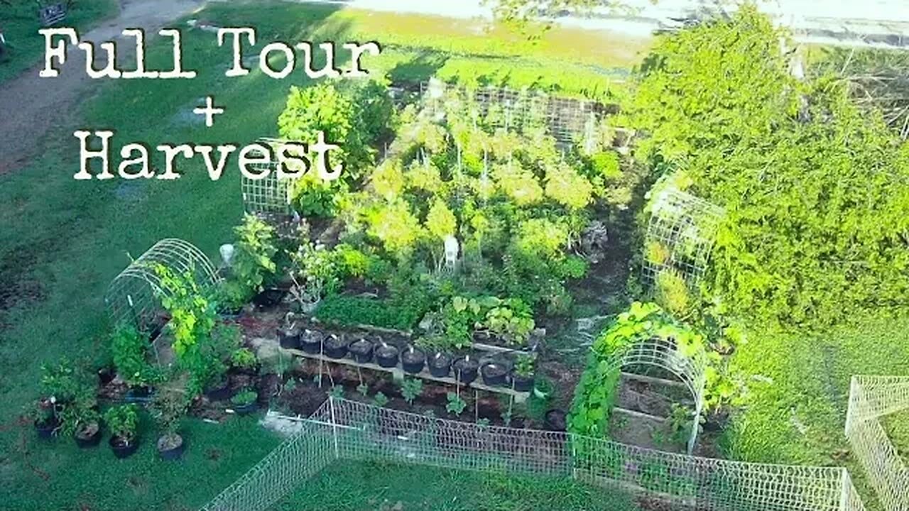 Abundant Harvest: A Complete Kitchen Garden Tour