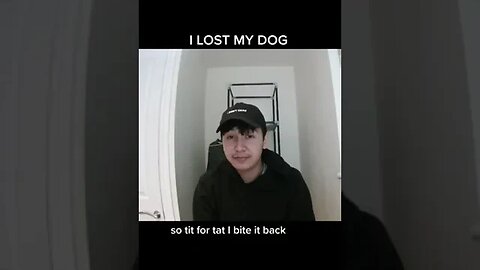 Tragic story 'How I lost my dog' I miss my dog