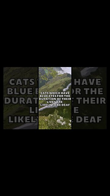 Incredible Random Facts That Will Expand Your Mind! [2023] #shorts #facts #viralshorts #fyp #life