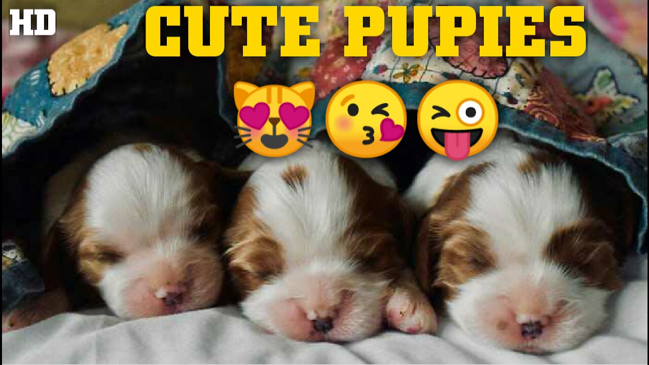 Adorable Puppies Love Babies Compilation 😍 A Cute Puppy 🐶and Baby👶 Videos 2021