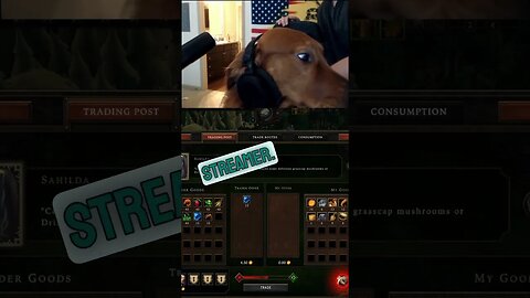 My Dog CJ takes over the stream #gaming #