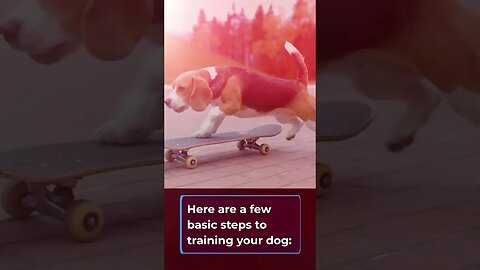 How to train your dog, Step by Step dog training, #shorts
