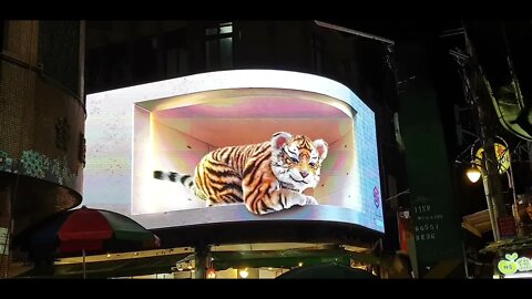 neat tiger display at Shilin night market